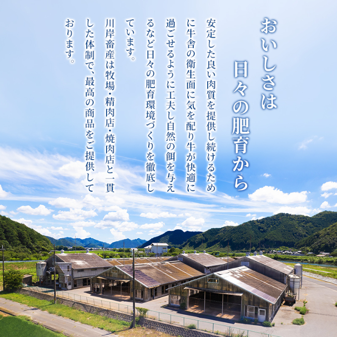 【最短7日以内発送】 神戸ビーフ 神戸牛 牝 上赤身 焼肉 1500g 1.5kg 川岸畜産 大容量 冷凍 肉 牛肉 すぐ届く