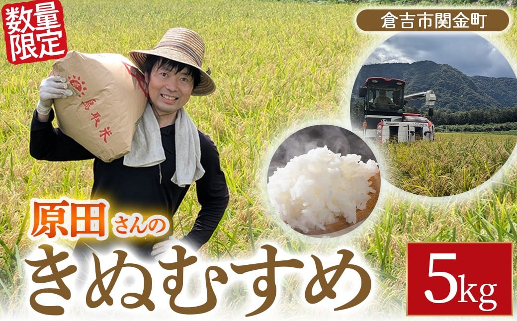 
                  【在庫限定】令和7年産米 原田さんのきぬむすめ 5kg （原田農園）数量限定 お米 米 こめ コメ 白米 きぬむすめ ブランド米 鳥取県 倉吉市
                