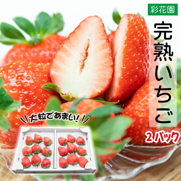 【ふるさと納税】 イチゴ 苺 完熟 大粒 いちご 2パック 紅ほっぺ さがほのか かおり野 3種から品類・個数はおまかせ ／ ストロベリー 甘い 大きい 贈答 プレゼント 贈り物 ギフト ご贈答 果物 フルーツ 人気 産地直送 おすすめ 岩手県産 彩花園 岩手県 八幡平市 送料無料