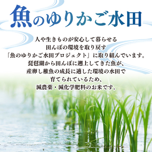 【令和7年産新米】減農薬米 近江米 きらみずき 白米 10kg ［ishidera02]  白米