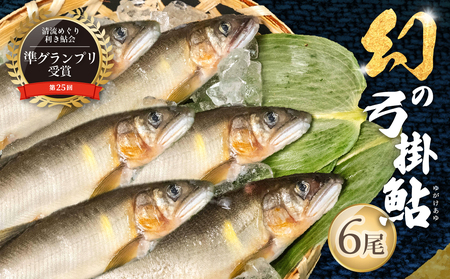 【先行予約】（2026年8月上旬頃から発送）幻の弓掛鮎 6尾セット【冷凍パック】【107-1】