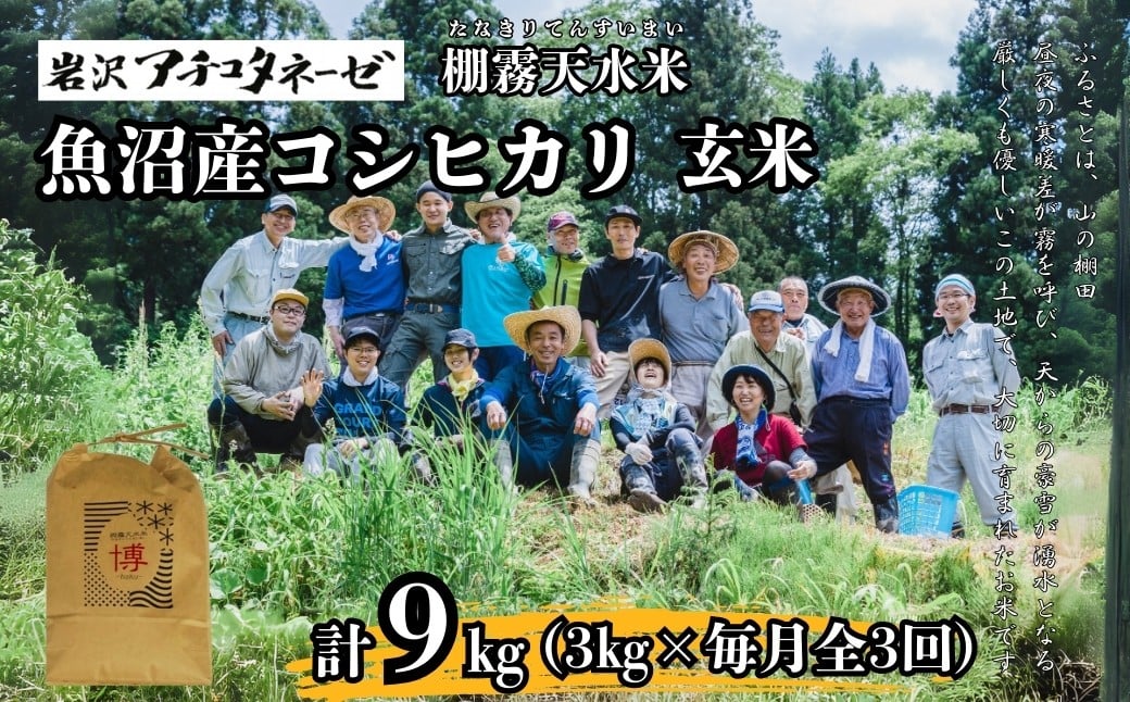 
            【3か月定期便(毎月発送)】 令和7年産新米 魚沼産コシヒカリ 玄米3kg(3kg×1袋)×全3回 ※2025年10月中旬頃から発送開始 岩沢アチコタネーゼ 【0008-0003DB00-01】
          