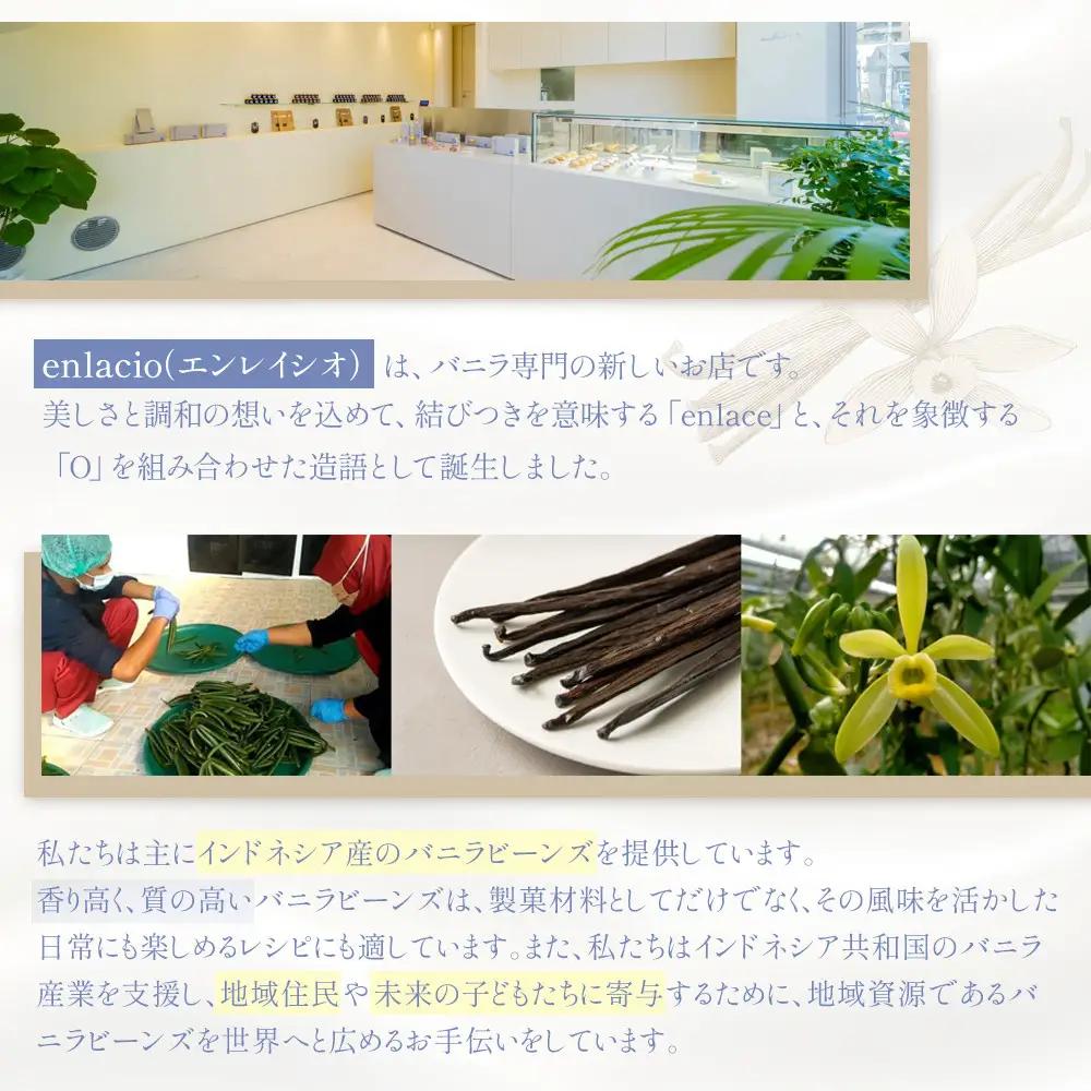 夙川バニラチーズタルト＜9個入＞　チーズタルト