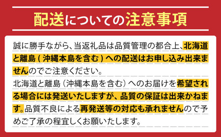 【2025年5月中旬〜発送】肥後グリーンメロン 2玉（合計4kg以上） 果物 フルーツ / 南島原市 / 長崎県農産品流通合同会社[SCB088]