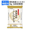 【ふるさと納税】愛知県産コシヒカリ 5kg　※定期便6回　安心安全なヤマトライス