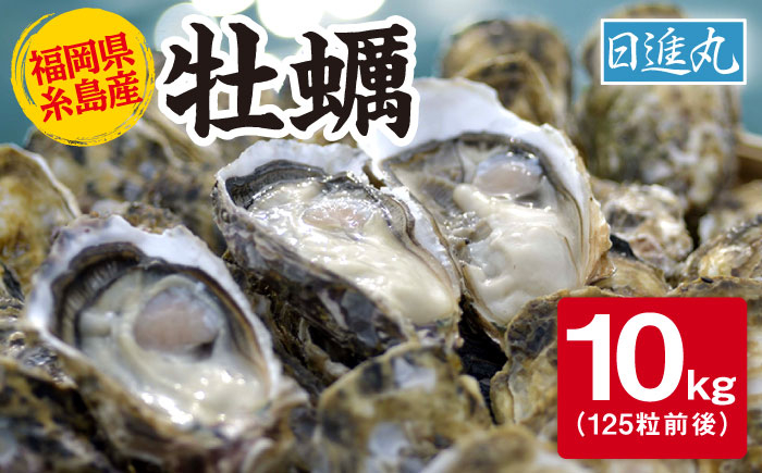 
            【日時指定可】福岡県糸島産 殻付き牡蠣 10kg(125粒前後) 糸島市 / 日進丸 牡蛎 カキ [AWA012]
          
