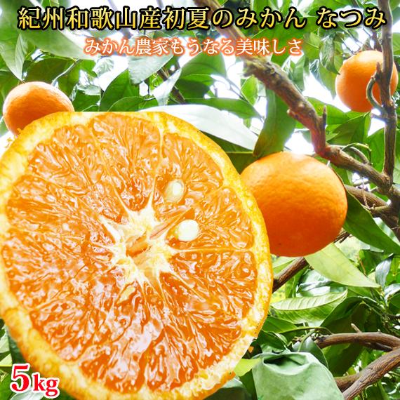【ふるさと納税】初夏のみかん なつみ 5kg［先行予約］［2026年4月中旬より発送］［UT57］