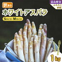 【ふるさと納税】【2025年発送】北海道富良野産　訳あり ホワイトアスパラ 1kg SサイズからMサイズ【配送不可地域：離島】【1380123】