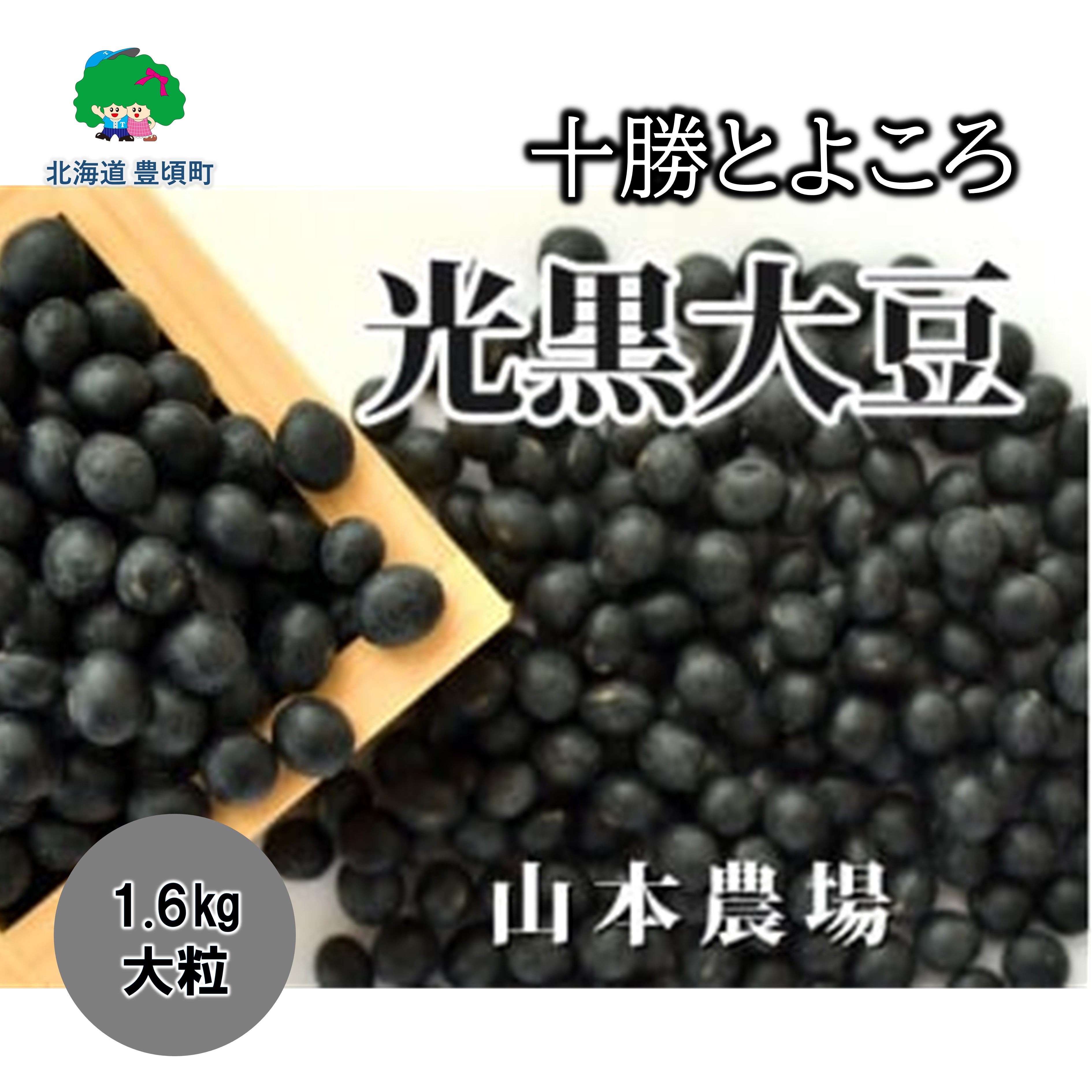 
山本農場 十勝とよころ 光黒大豆1.6kg（大粒）[№5891-0369]
