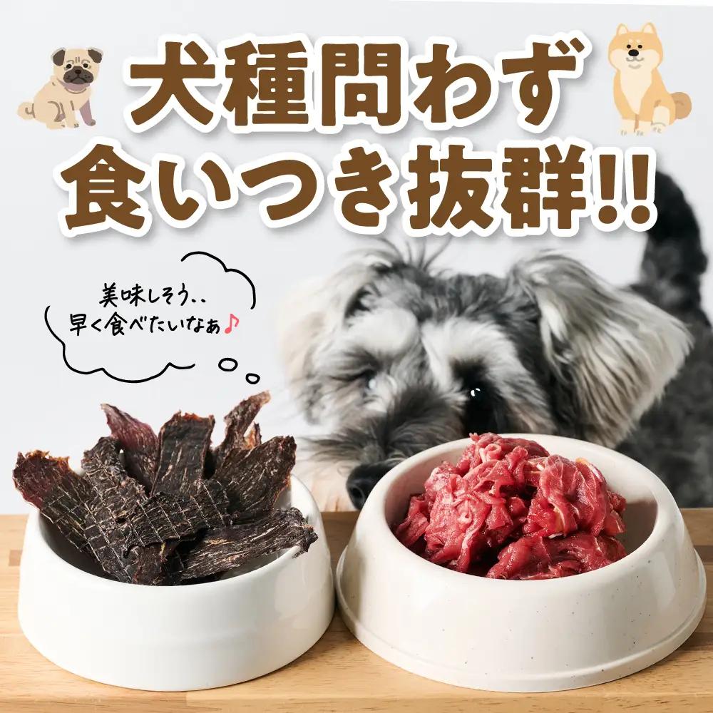 ペット用 馬肉切り落とし1kg＆馬刺しジャーキー100g 馬肉 ペットフード ドッグフード