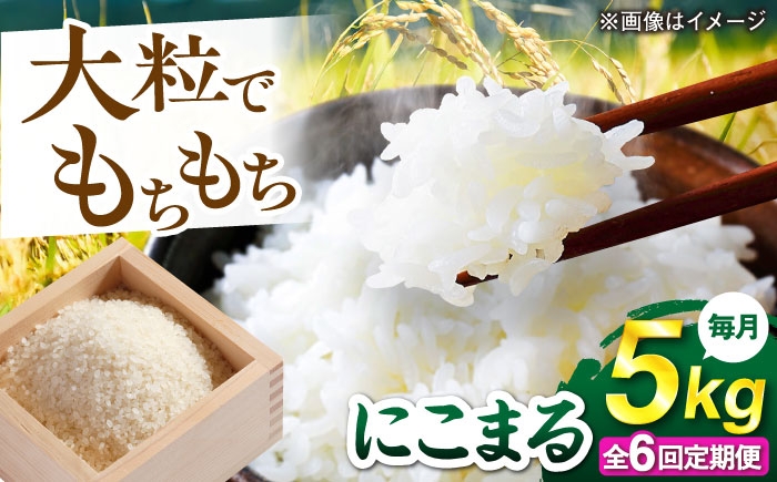 
                  【全6回定期便】 にこまる 玄米品質1等米 白米 5kg 糸島市産 糸島市 / 糸島の恵み コメ こめ ご飯 [AGR009]
                