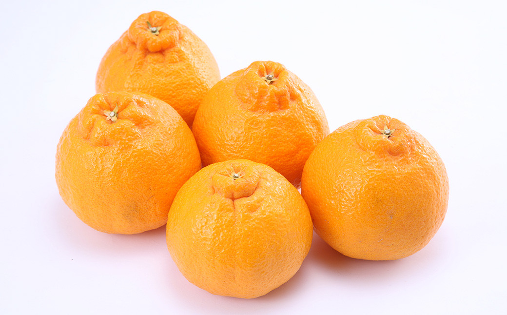 デコポンおよび熊本県産季節の柑橘（清見）約3kg