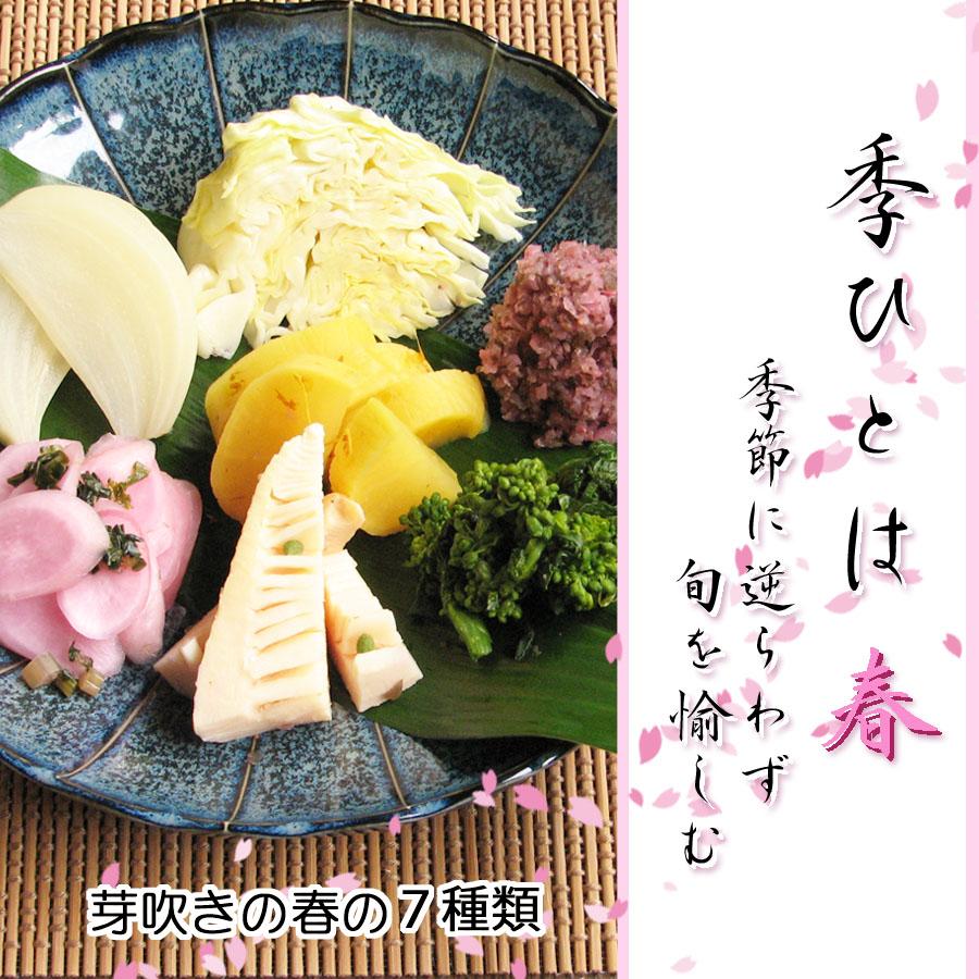 【ふるさと納税】【千枚漬本家 大藤】《5/31まで》京都の漬物7種詰合せ「季ひとは　春」 | 京都 老舗 漬物 つけもの 漬け物 野菜 京野菜 セット 人気 おすすめ お取り寄せ 通販 送料無料 ふるさと納税