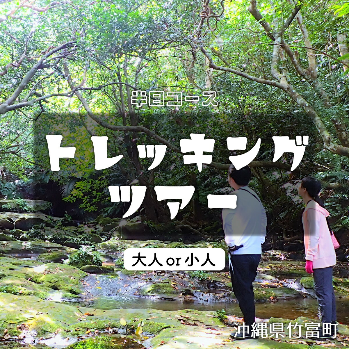 【ふるさと納税】西表島 半日森林浴滝トレッキングツアー【体験可能期間:11月1日～4月30日】大人1名分 または小人1名分 【 旅行 体験チケット 西表島ツアー 大自然 体験ツアー 観光 沖縄 半日 森林浴 トレッキング 滝 アクティビティ】
