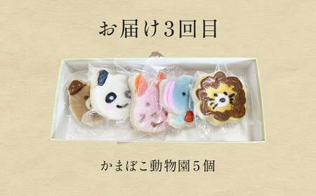 ＜3回隔月定期便＞加納かまぼこ詰め合わせ 富山県 氷見市 定期便 蒲鉾 詰め合わせ セット 食べ比べ かわいい 