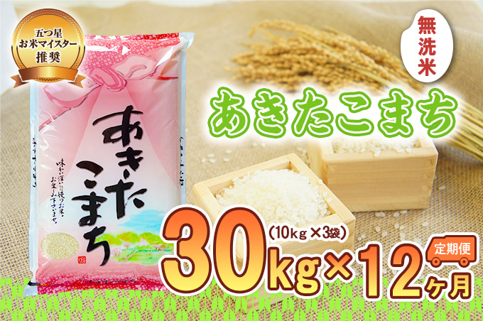 
            【12か月定期便】盛岡市産あきたこまち【無洗米】30kg×12か月
          