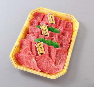 高級和牛「熊野牛」特選モモ焼肉食べ比べセット約600g　4等級以上【準備でき次第、順次発送いたします】【S96107-mtgn085】
