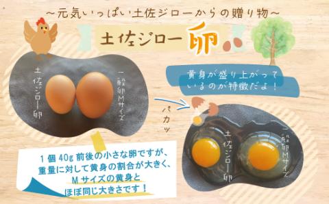 【定期便6回】濃厚でコクのある味わい！のびのび育った土佐ジローの自然卵40個（10個入り×4パック）【合計240個】