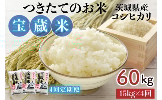 【4ヶ月定期便】【令和7年産】茨城県産コシヒカリ 宝蔵米 15kg×4回【お米 米 菊池 こしひかり つきたてのお米 食味ランキング特A評価 茨城県 水戸市】（CZ-813）
