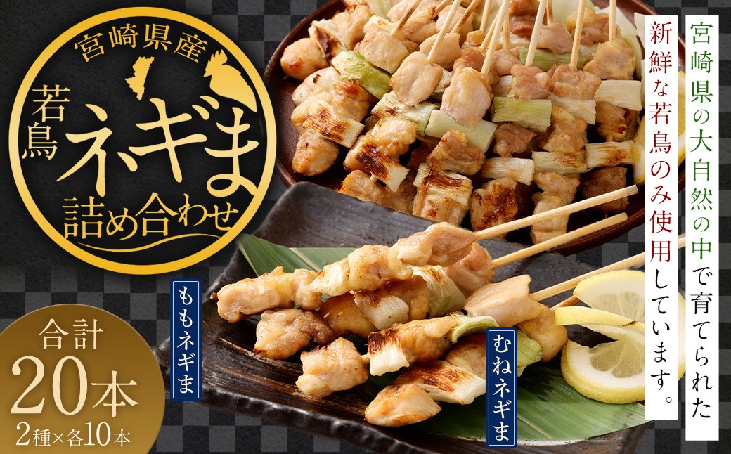 
            ＜宮崎県産 若鳥ネギま 詰め合わせ 20本＞翌月末迄に順次出荷 焼き鳥 焼鳥 鶏 串焼き 鶏串 盛合わせ 若鳥 手刺し もも肉 ムネ肉 ねぎま ネギま 2種 各10本 冷凍 国産 宮崎県 高鍋町
          