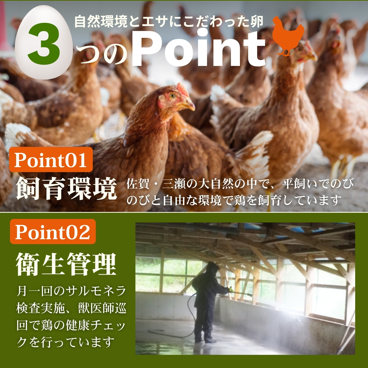 平飼いたまご 三瀬ひなた鶏舎 「壮健美卵」6個入り×6パック【うち割れ保証5個】：B125-032_イメージ2