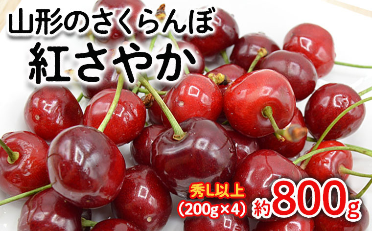 
            山形のさくらんぼ 紅さやか 約800g Lサイズ以上(200g×4) 【令和7年産先行予約】FS24-656くだもの 果物 フルーツ 山形 山形県 山形市 2025年産
          