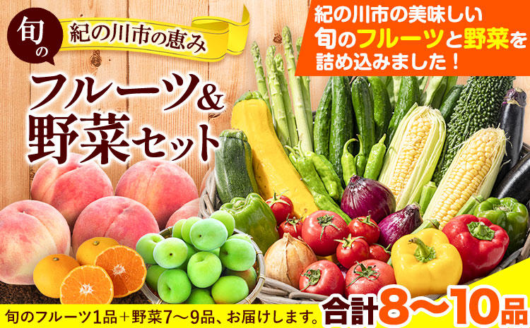 紀の川市の恵み 旬のフルーツ＆野菜セット 計8~10品《30日以内に出荷予定(土日祝除く)》和歌山県 紀の川市 フルーツ 果物 野菜 セット 桃 梅 みかん 新玉ねぎ なす トマト キャベツぶどう シャイン