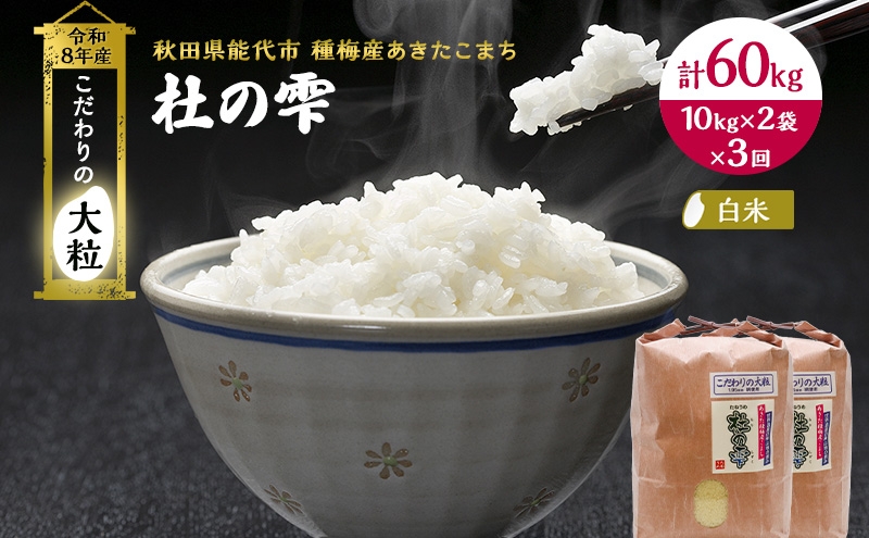 
                  新米 先行予約 令和8年産[白米]【定期便3ヶ月】秋田県産 あきたこまち 20kg(10kg×2)×3回 計60kg 「杜の雫」こだわりの大粒 種梅産【 お米 おこめ たねうめ 精米 ご飯 ごはん ブランド米 大粒 おにぎり 産地直送 能代 】
                