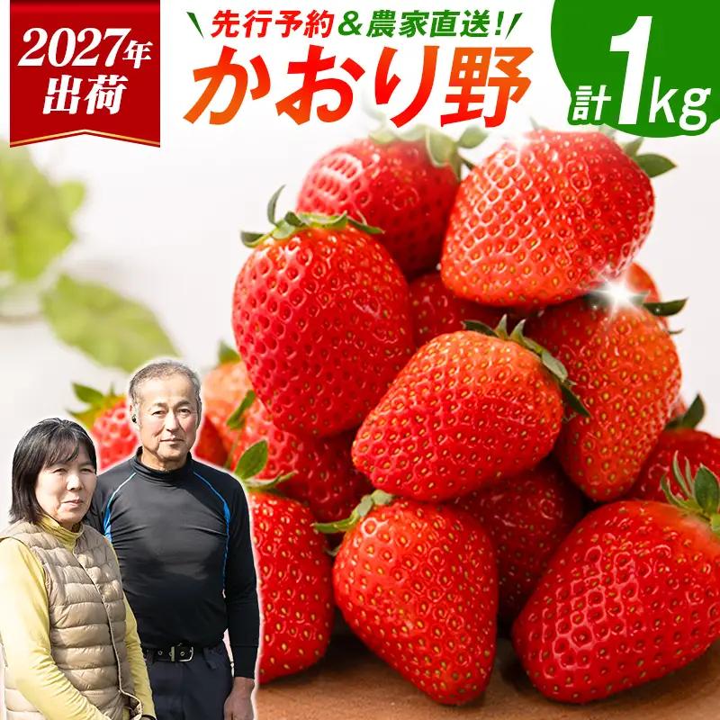 ＜2027年出荷＞先行予約 宮崎県産 いちご「かおり野」計1kg フルーツ 期間限定 デザート ご褒美【B700】