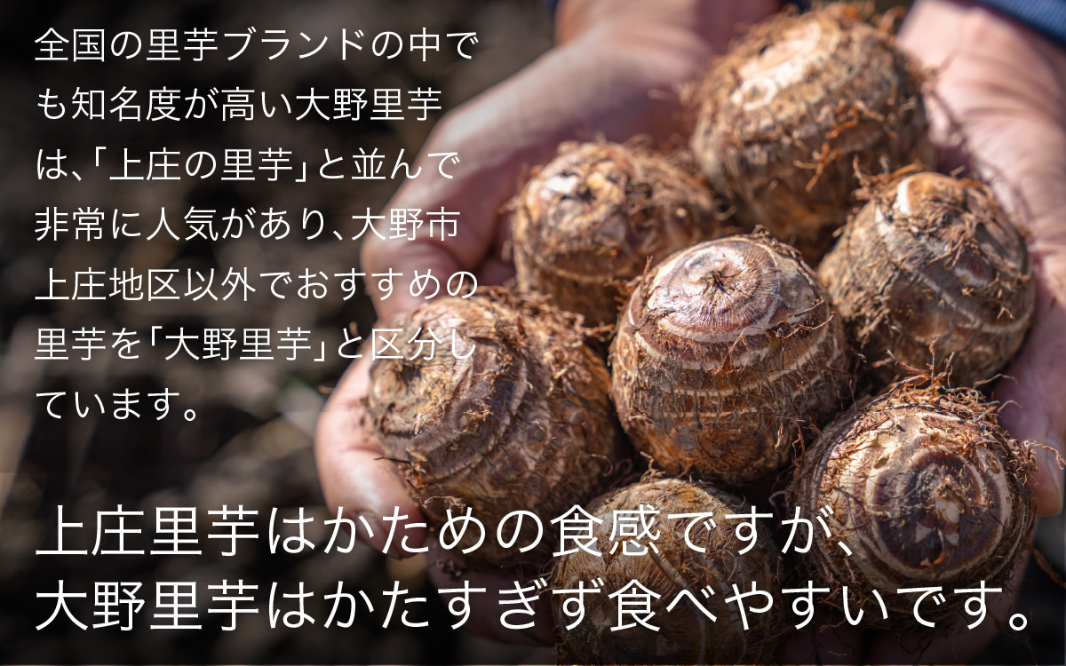 【先行予約】大野の里芋とたんちょう餅の詰め合わせA（里芋3kg+丸餅8個入り×1袋）【2025年11月30日より順次発送】