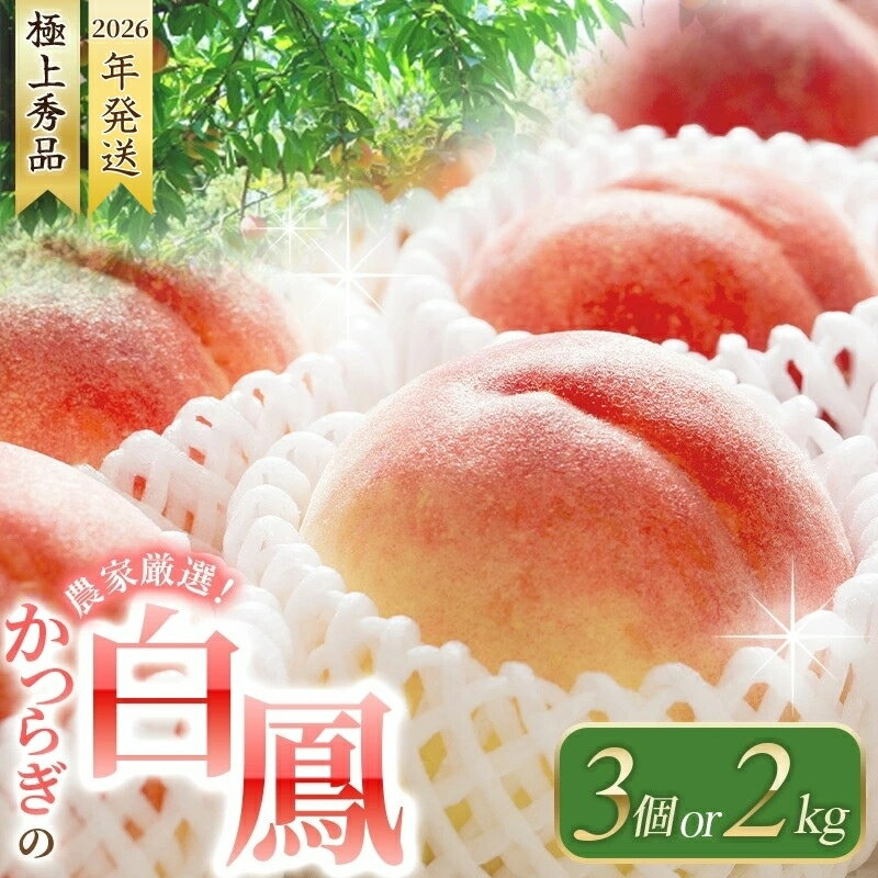 【ふるさと納税】 【先行予約】桃 の 王様 白鳳 ＼特秀品／ 【3玉 or 約2kg（6個〜9個）】 【2026年6月末頃～2026年7月末頃に順次発送予定】（お届け日指定不可） / 和歌山 桃 モモ フルーツ もも 白桃 果物 くだもの