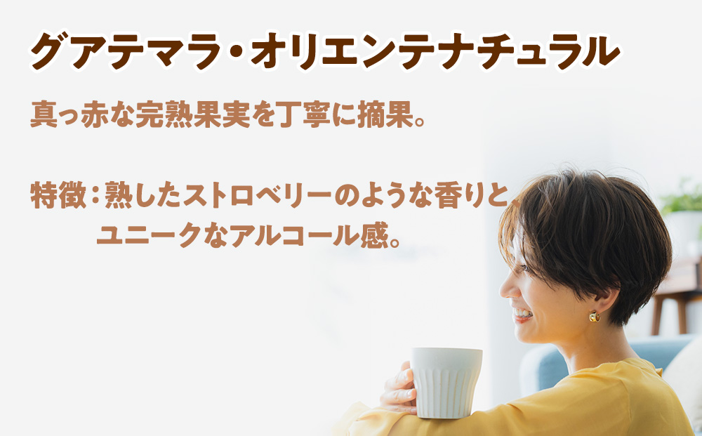 自家焙煎珈琲　ドリップバッグコーヒー グアテマラ・オリエンテナチュラル 6袋《中深煎り》