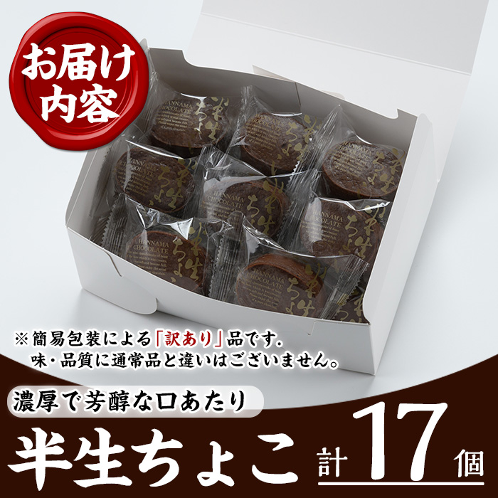 《訳あり》半生ちょこ(計17個) スイーツ バレンタイン ホワイトデー 濃厚 チョコ お菓子 銘菓 冷凍 詰め合わせ 詰合せ 個包装 簡易包装 家庭用 自宅用 洋菓子【菓子処 菊屋】【A-1596H】