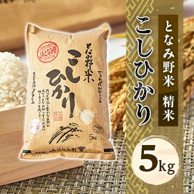 ふるさと納税 砺波市 【令和7年産】となみ野米こしひかり5kg