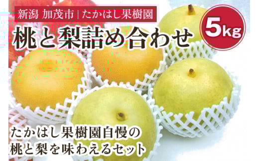 【2025年先行予約】たかはし果樹園 謹製 桃と和梨の内容おまかせ詰め合わせ 約5kg《8月中旬から発送》  新潟県産 果物 もも モモ なし ナシ フルーツギフト 秋の味覚 産地直送 加茂市 たかはし果樹園