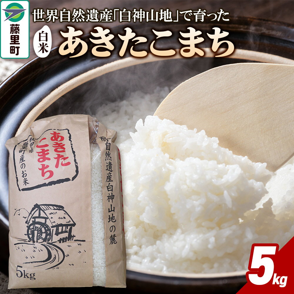 【ふるさと納税】米 令和7年産 あきたこまち【白米】5kg