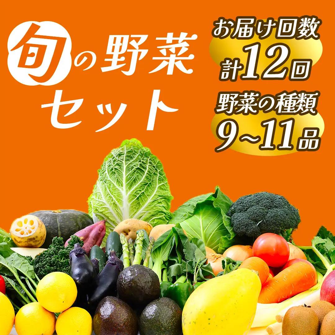 旬の野菜セット 1年間の定期便　　【 朝どれ 野菜 やさい 新鮮 】