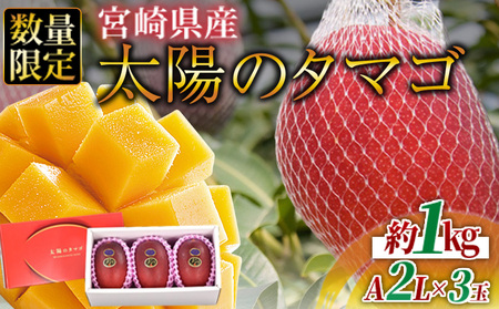 数量限定【2026年発送】＜宮崎県産 太陽のタマゴ A等級 2Lサイズ×3玉（合計約1kg）＞2026年4月上旬～6月末迄に順次出荷【 果物 くだもの フルーツ 太陽のタマゴ 太陽のたまご 完熟マンゴー ジューシー 果汁 かんじゅく 期間限定 先行予約 ギフト 贈答用 贈答品 贈り物 】【a0694_ja】