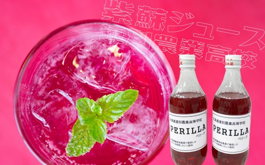 【遠別農業高校】R７年産「ペリーラ」紫蘇ジュース２本セット　しそジュース しそ ジュース 北海道 遠別町