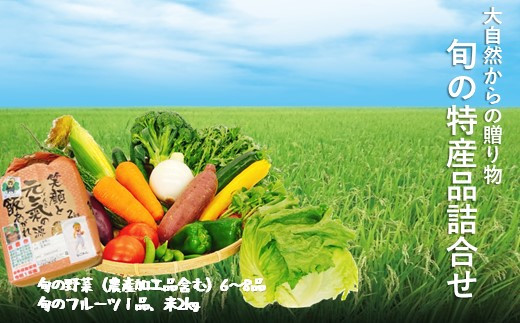 
旬の特産品詰合せ(野菜 6～8品、フルーツ、お米)
