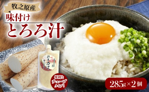 とろろ 味付き とろろ汁 285g × 2 パック チューブ セット とろろ 山芋 ヤマイモ 山いも じねんじょ 自然薯 ごはん 漬け丼 白米 冷凍 滋養強壮 食欲増進 ご飯お供  栄養 腸活 夏バテ 個包装 小分け お取り寄せ ギフト グルメ 贈答 プレゼント 人気 国産 安心 アスリート飯 静岡自然薯 静岡じねんじょ 牧之原とろろ 牧之原自然薯 牧之原じねんじょ 静岡県 牧之原市 尾白弁当