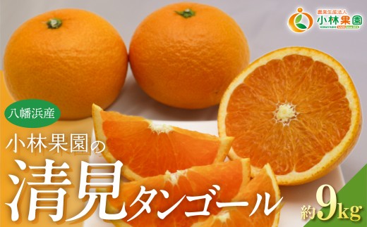 【先行受付】小林果園の清見(約9kg) ふるさと納税 みかん ミカン  柑橘 柑橘類 フルーツ 果物 清見くだもの 人気 美味しい 愛媛県 八幡浜  YWTAD038