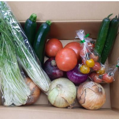 ふるさと納税 静岡市 旬のお野菜詰め合わせセット