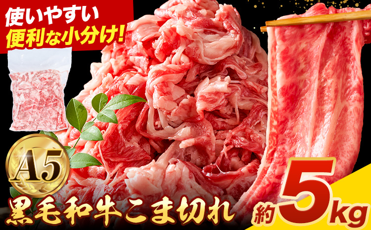極上 厳選 黒毛和牛 こま切れ 約5kg 牛魔王デミート《30日以内に出荷予定(土日祝除く)》大阪府 羽曳野市 送料無料 牛肉 牛 和牛 小分け