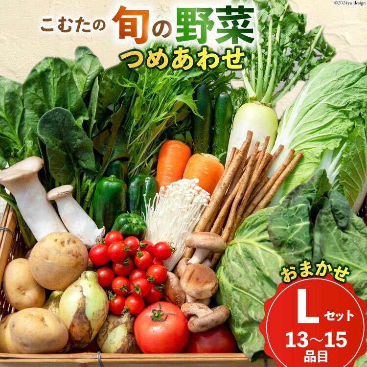 【ふるさと納税】 AI023【10〜5月限定出荷】こむたの旬の野菜つめあわせ(13〜15品目)おまかせ L セット 【 野菜 やさい 旬 種類 人気 オススメ 新鮮 詰め合わせ 春 こむた 小無田 青果 長崎県 島原市 】