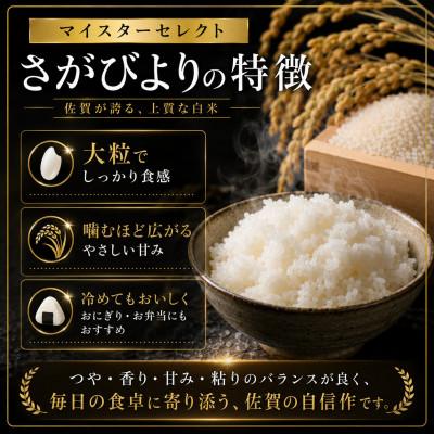 ふるさと納税 伊万里市 令和7年産さがびより【白米】5kg【特A評価】《マイスターセレクト》 |  | 01