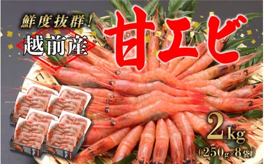 【選べる容量！】【小分け】越前産冷凍甘えび大サイズ 約250g × 8パック 合計約2.0kg  [C-11011] / 甘えび 甘エビ えび 大ぶり甘エビ 海老 海鮮 刺身 冷凍  福井県 鯖江市
