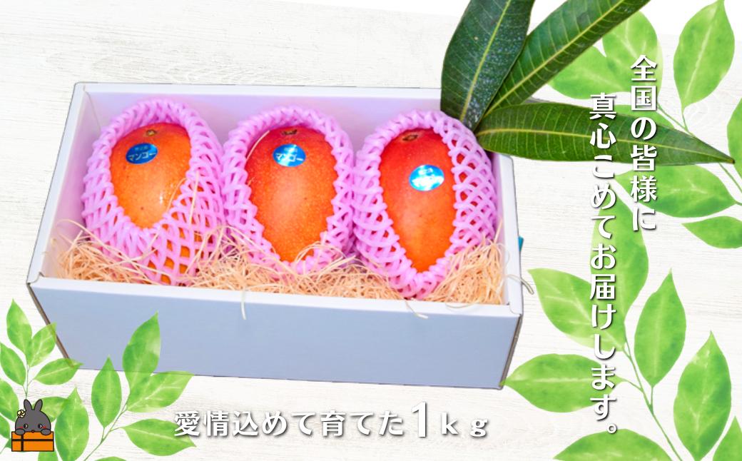 大切に、大切に、食べて頂く方の笑顔を思い浮かべながら愛情込めて育てています。