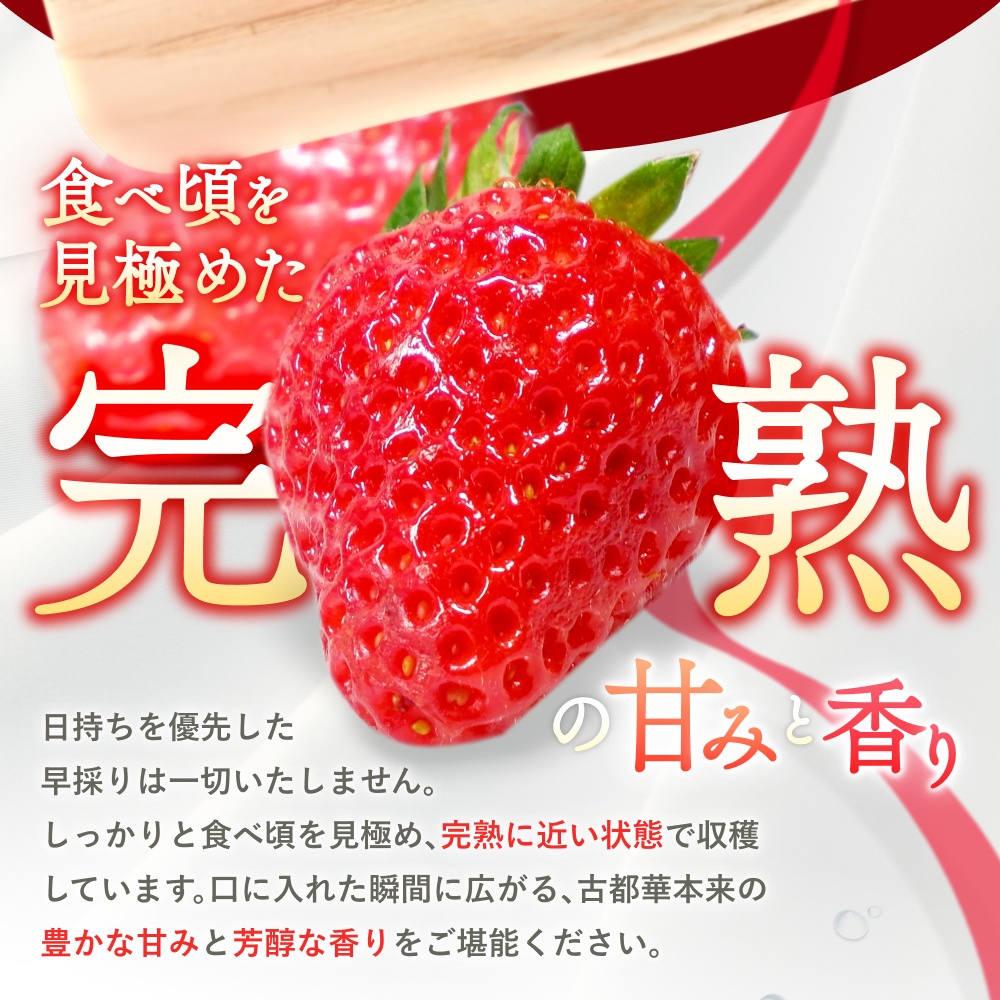 【全3回定期便】葛城市産古都華　270g×2パックを5か月連続でお届け！3月/4月/5月【ichi-tkb0002】