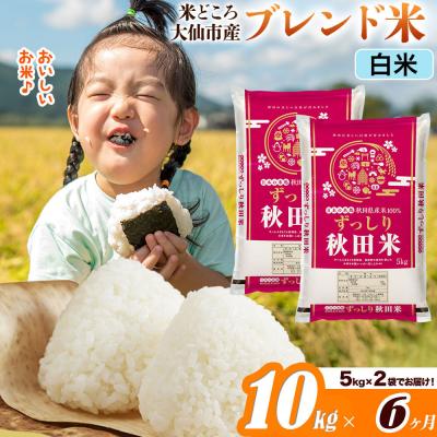 ふるさと納税 大仙市 米《6ヶ月》  ブレンド米【白米】10kg|22_ssn-041006h